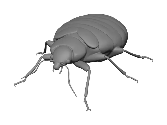 3D model for 