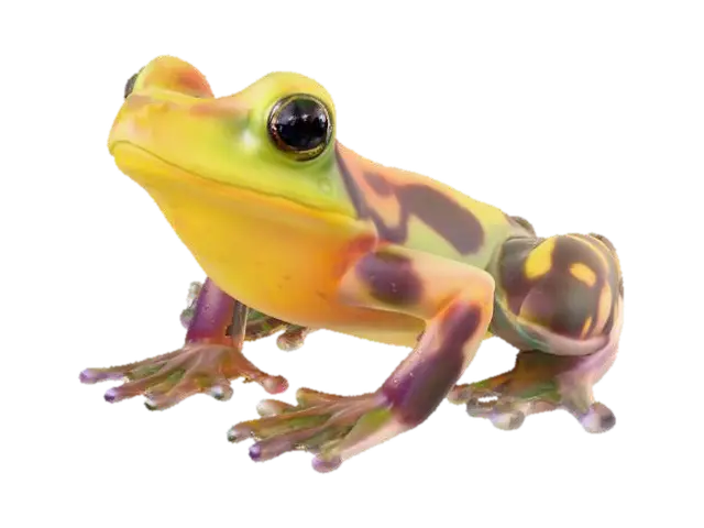 3D model for small, translucent frogs with vibrant lily pad patterns on their skin reside near the sparkling streams. They emit a soft glow during the night, creating a magical ambiance. Their croaks are melodious and contribute to the enchanting symphony of the glade