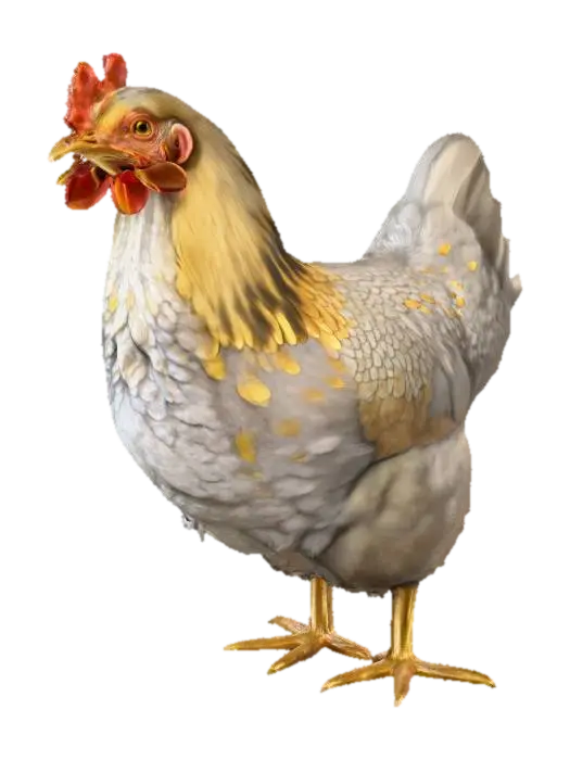 Wyandotte chicken - Fowl 3D model, vytvořený pomocí AI