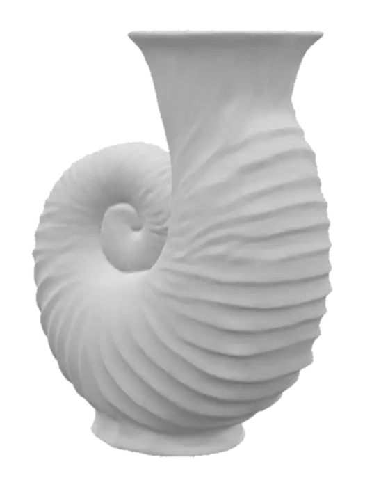 3D model for Nautilus Elegance, #PBR#