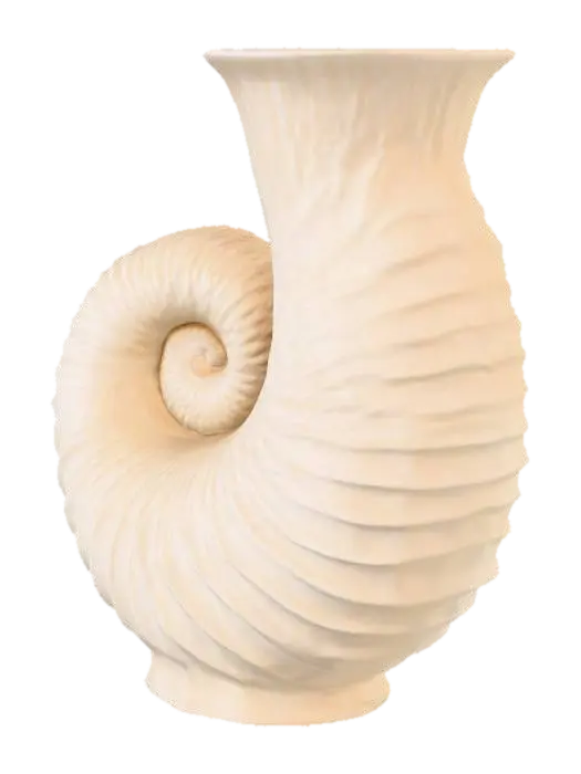 3D model for Nautilus Elegance, #PBR#