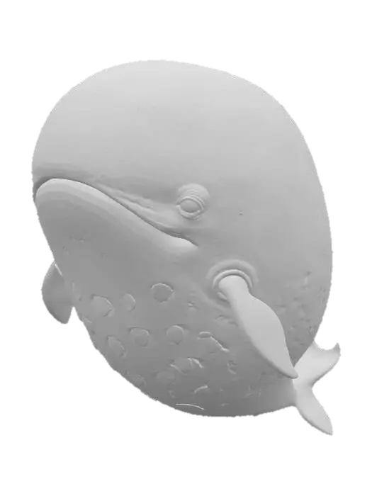 3D model for Watermelon Whale