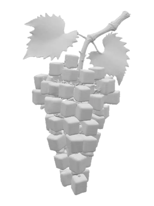 3D model for Cubist Grapes