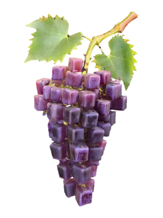 3D model for Cubist Grapes