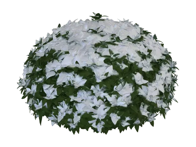 3D model for ultra realistic bush max of 10000 triangles