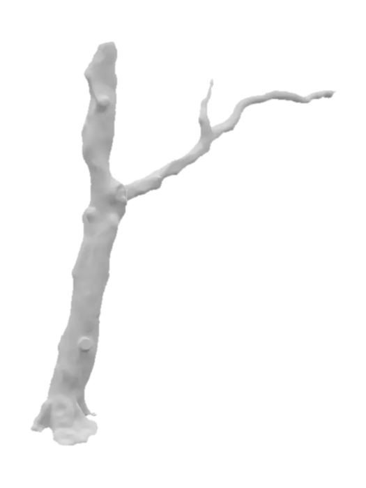 3D model for Tree Branch 