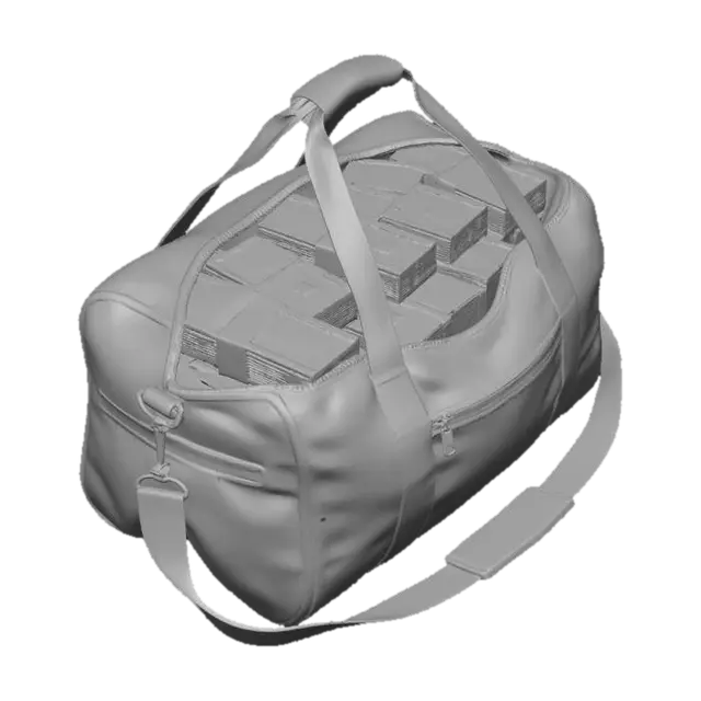 3D model for bag of cash
