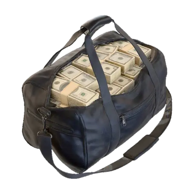3D model for bag of cash