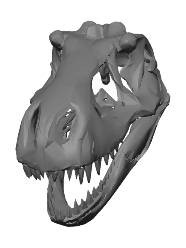 3D model for Tyrannosaurus Rex Skull