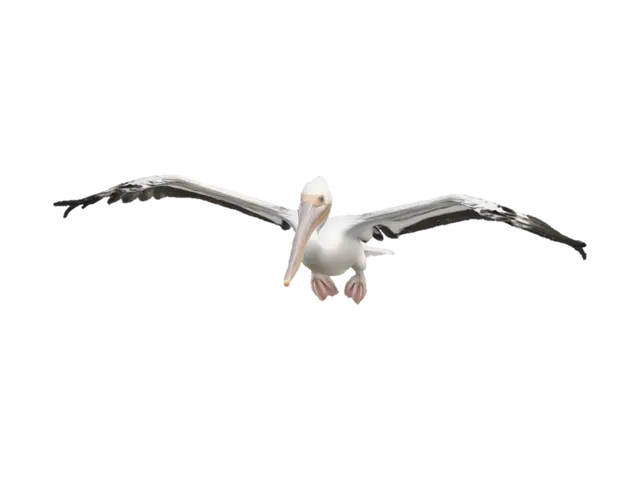 Soaring Pelican 3D model, vytvořený pomocí AI