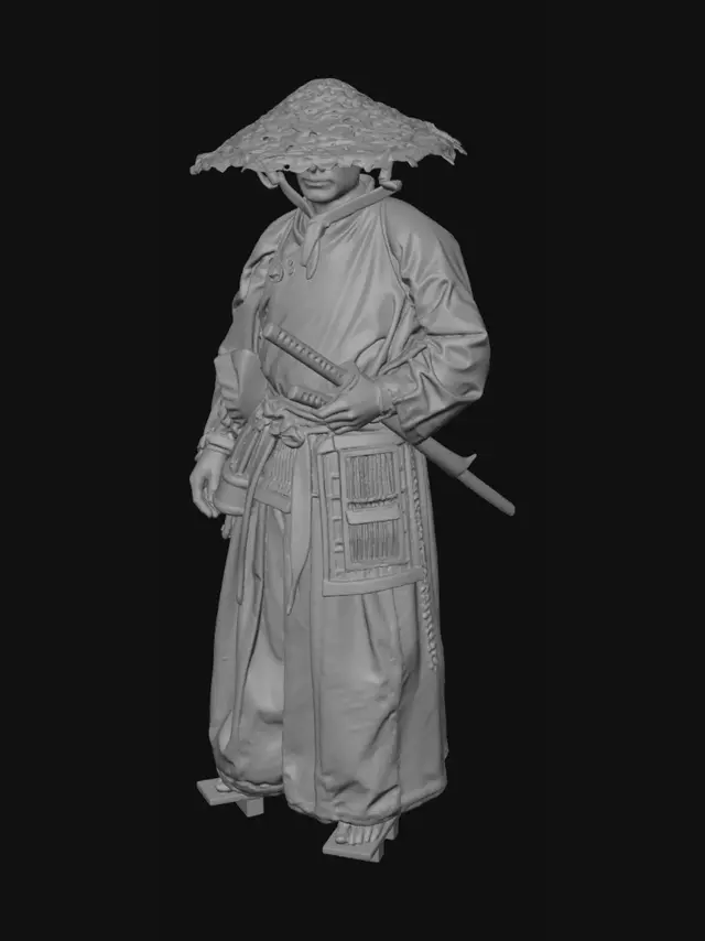 3D model for Straw Hat Samurai