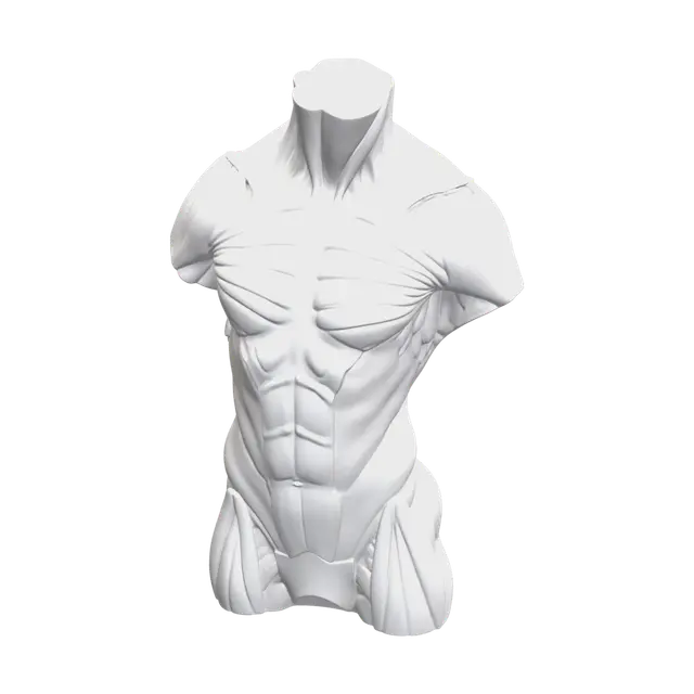 3D model for Weathered Torso Anatomy