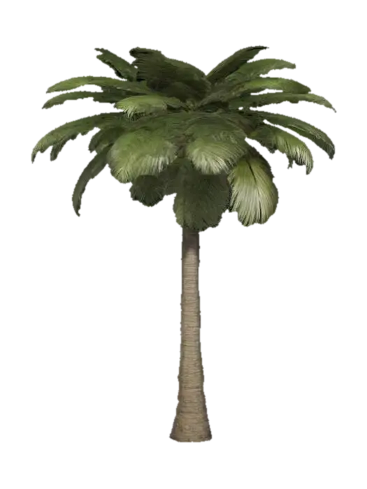 realistic palm tree 3D model, vytvořený pomocí AI