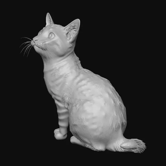3D model for Curious Cat in the Kitchen