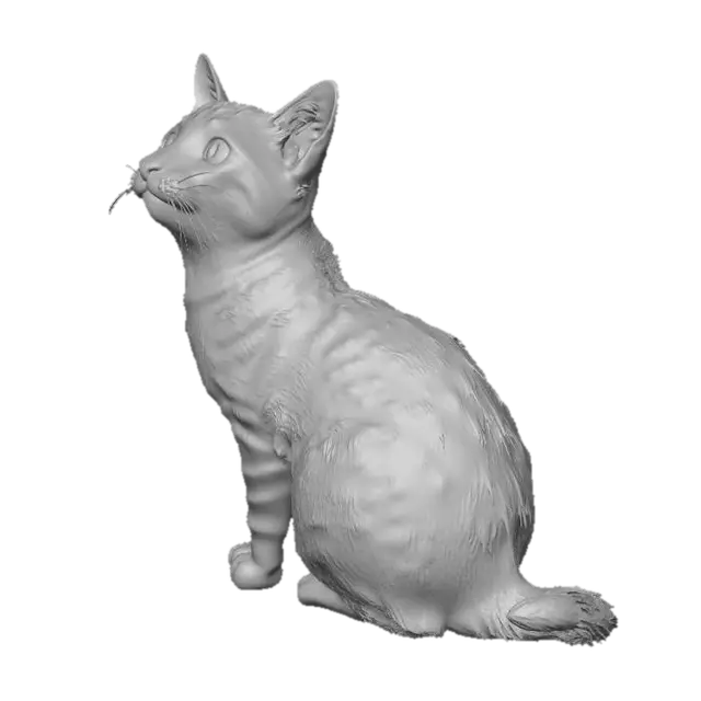 3D model for Curious Cat in the Kitchen