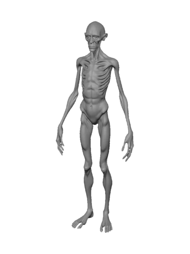 3D model for Description: SCP-096 is a humanoid creature measuring approximately 2.38 meters in height. Subject shows very little muscle mass, with preliminary analysis of body mass suggesting mild malnutrition. Arms are grossly out of proportion with the rest of the subject's body, with an approximate length of 1.5 meters each. Skin is mostly devoid of pigmentation, with no sign of any body hair.