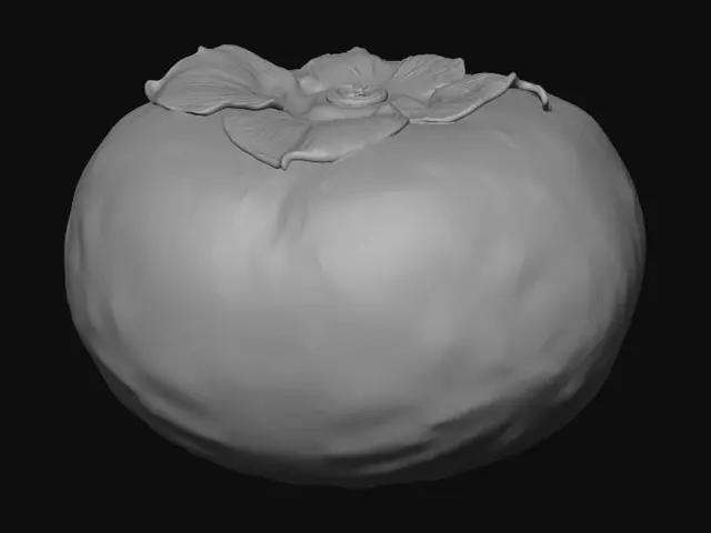 3D model for Persimmon on Marble