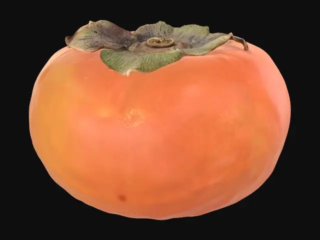 3D model for Persimmon on Marble