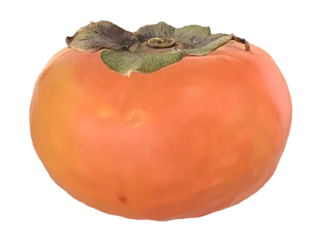 3D model for Persimmon on Marble
