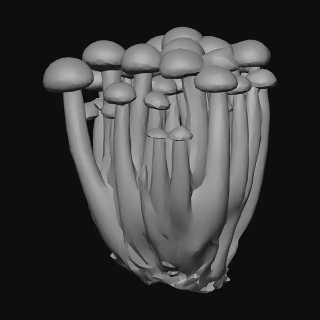 3D model for Speckled brown mushroom cluster