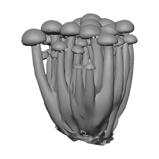 3D model for Speckled brown mushroom cluster