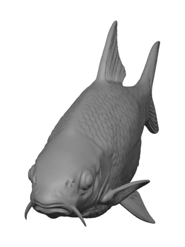 3D model for Grayscale Carp