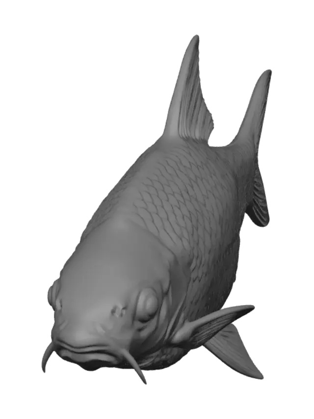3D model for Grayscale Carp