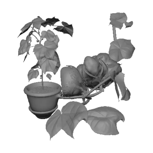 3D model for Cotton and Climbing Vine