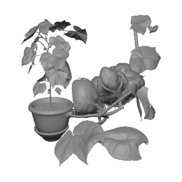 3D model for Cotton and Climbing Vine