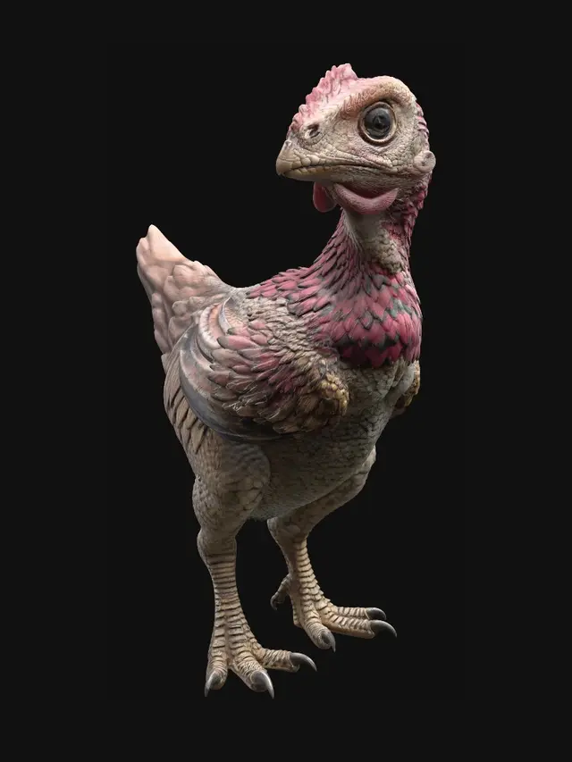 3D model for Curious Turkey Portrait