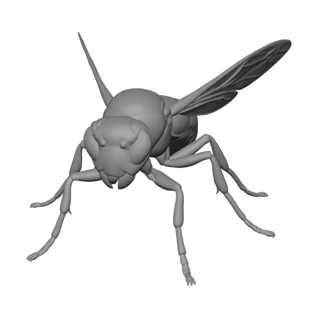 3D model for Spectral Wasp