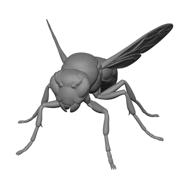 3D model for Spectral Wasp
