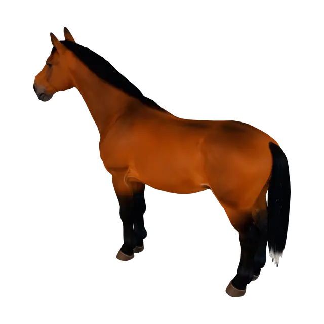 3D model for Chestnut Horse in Profile