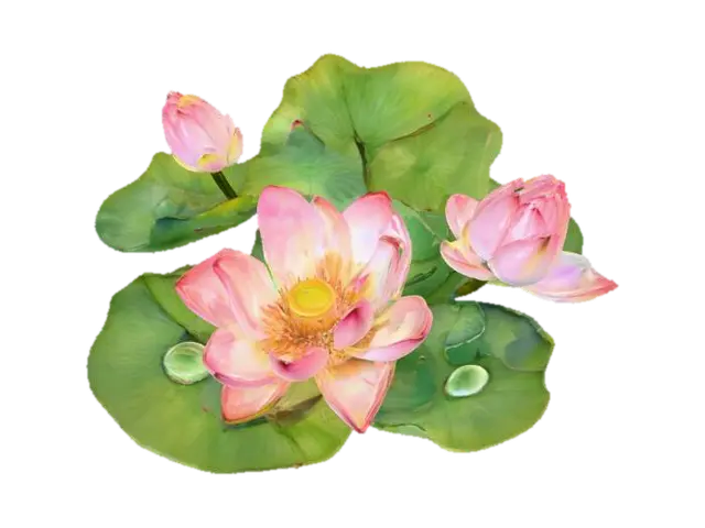 Lotus Blossom Serenity - Petal 3D model, vytvořený pomocí AI