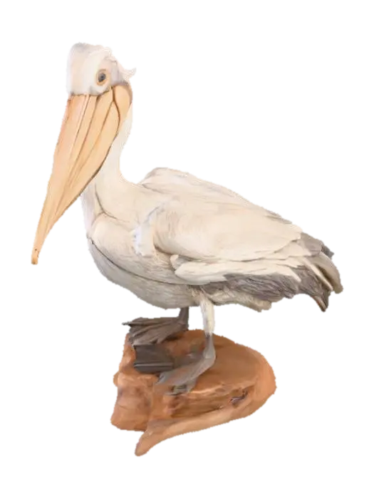 Pelican Sculpture, #PBR# 3D model, vytvořený pomocí AI