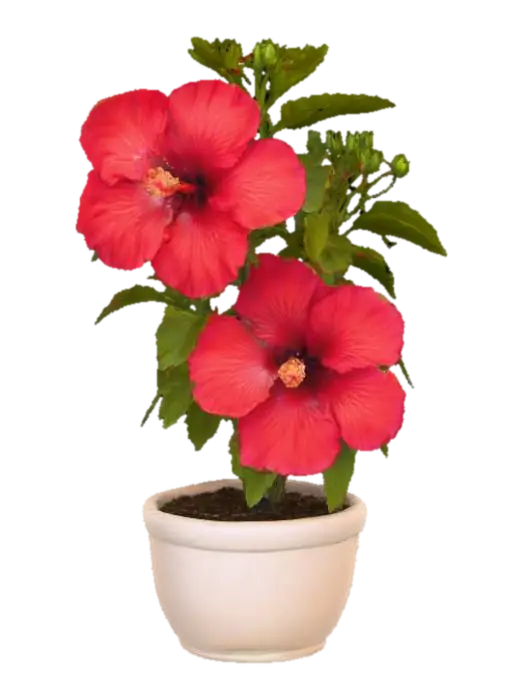 Radiant Blossom, #PBR# 3D model, vytvořený pomocí AI