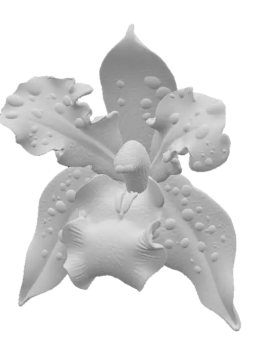 3D model for Enchanted Blossom