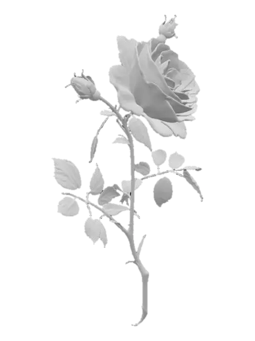 3D model for Blossoming Serenity