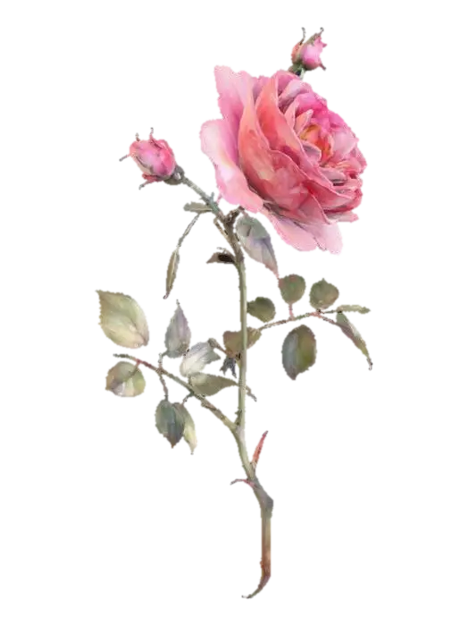 3D model for Blossoming Serenity