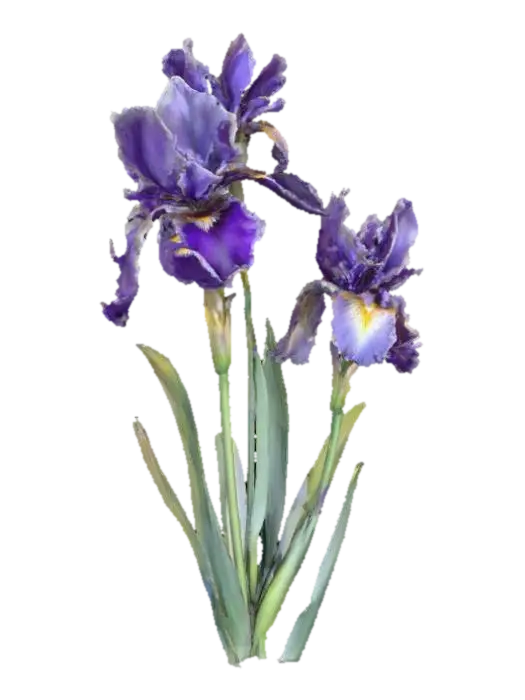 Irises in Bloom 3D model, vytvořený pomocí AI
