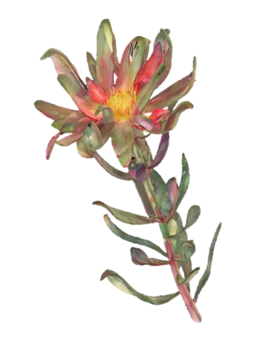 Radiant Bloom 3D model, vytvořený pomocí AI