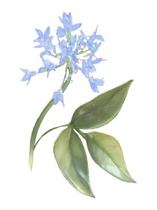Blue Blossom Whisper - Vibrant 3D model, vytvořený pomocí AI