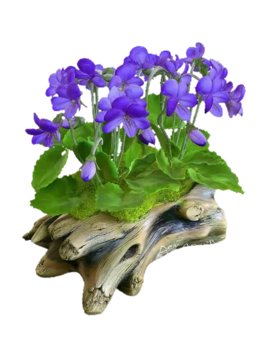Violets on Driftwood 3D model, vytvořený pomocí AI
