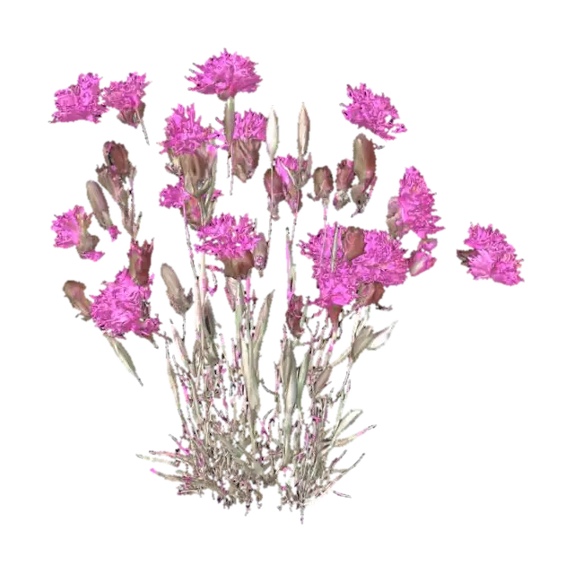 Pink Petals Symphony - Bloom 3D model, vytvořený pomocí AI