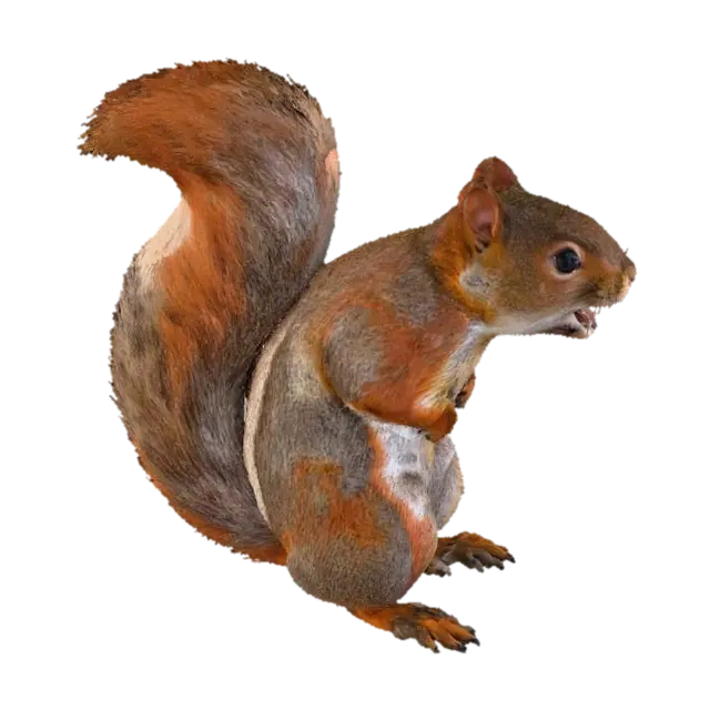 Chattering Squirrel 3D model, vytvořený pomocí AI