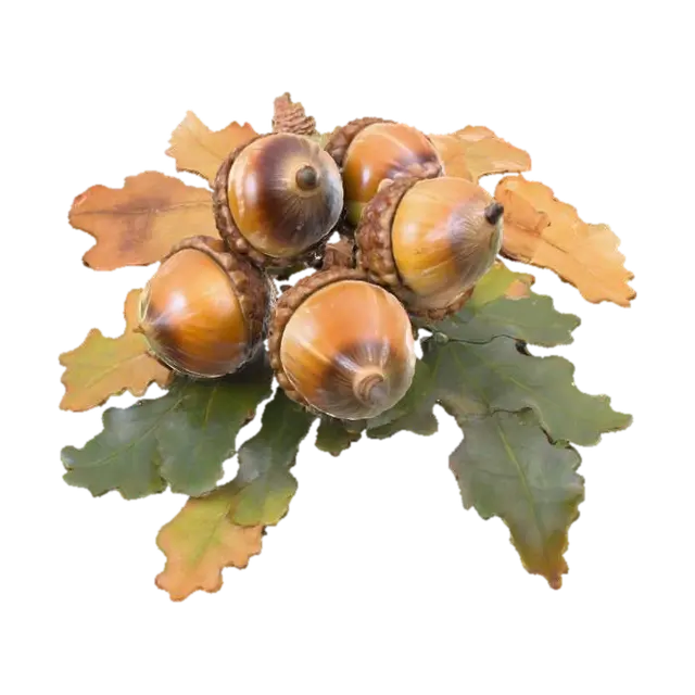 3D model for Autumn Acorns and Leaves