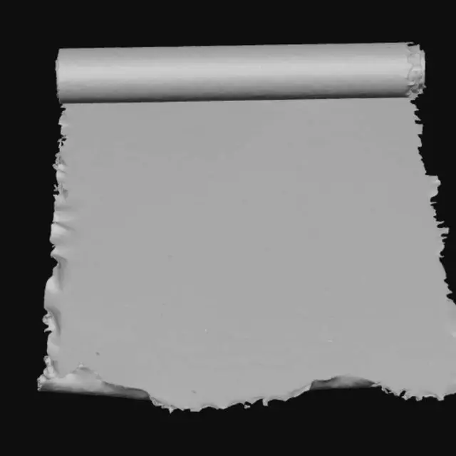 3D model for Botanical Illustrations on Aged Parchment