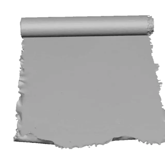 3D model for Botanical Illustrations on Aged Parchment