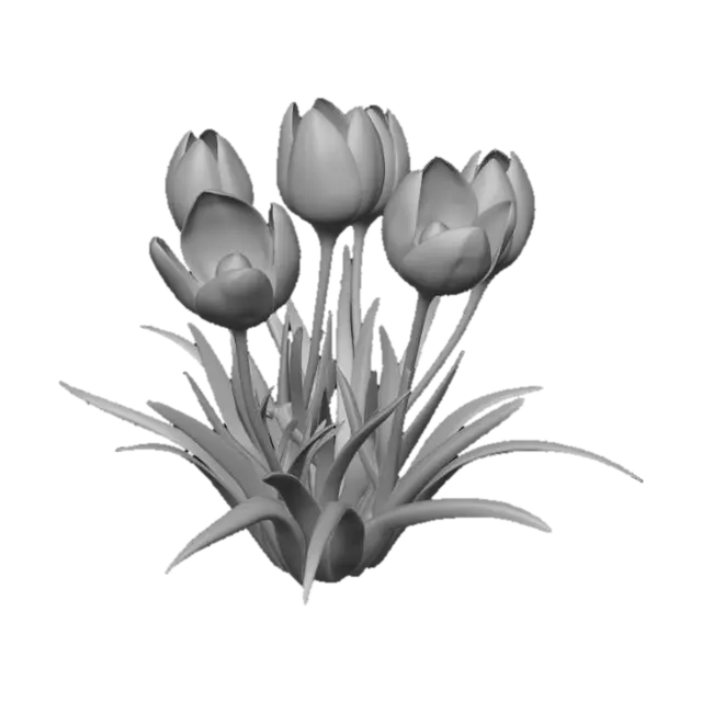 3D model for Purple Crocuses in Snow