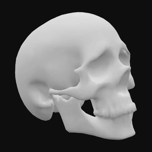 3D model for An opal skull. The exquisite carved gemstone showcases a milky, translucent quality, allowing for an internal glow that emanates a full spectrum of radiant, opalescent hues. Fine, hair-thin internal veins catch and refract light, enhancing the shifting rainbow effect that dances across its pointed ends and along its subtly ridged edges. Blues, reds, yellows, greens, all appear like a real opal in the light.